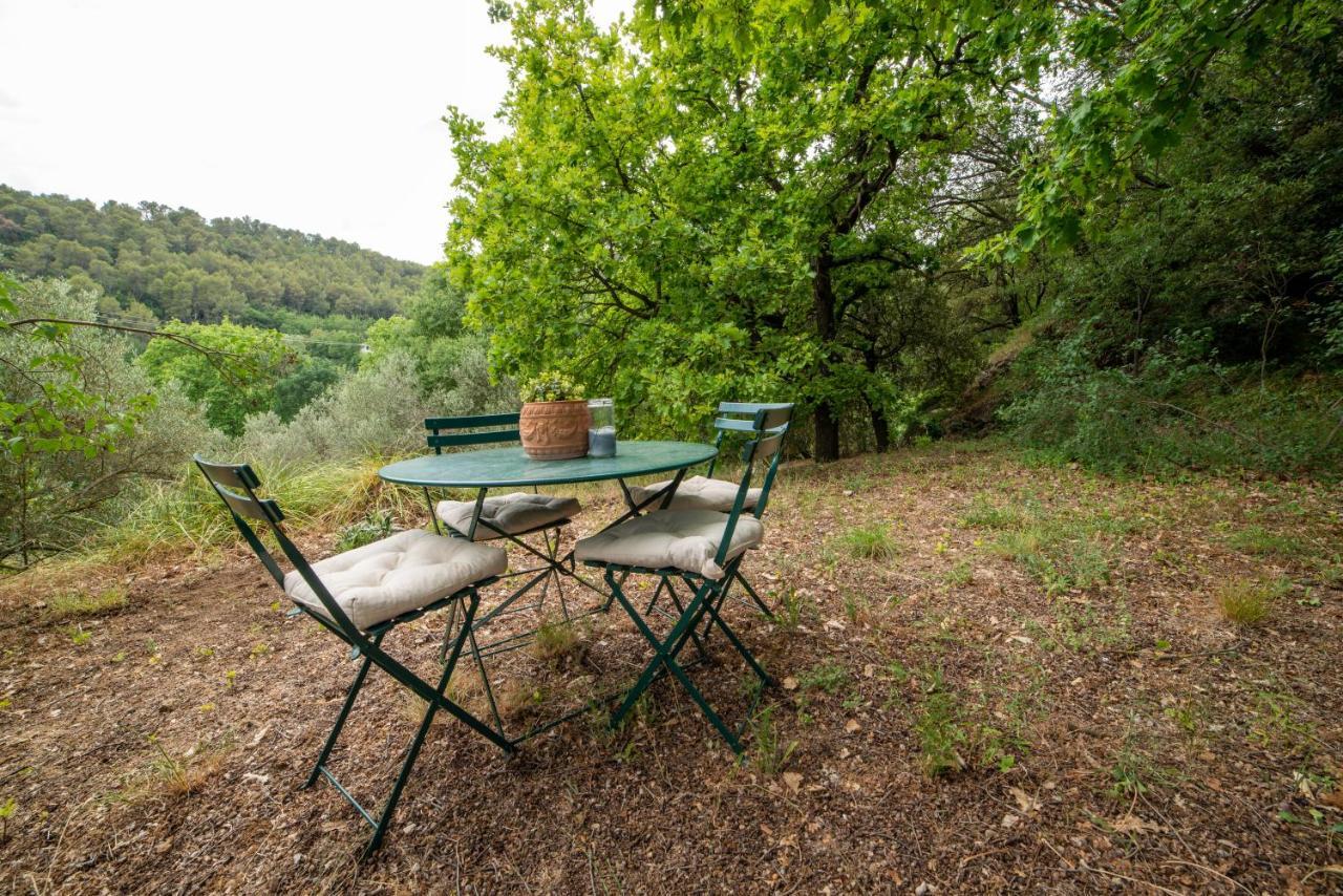 L'Olivier Fleurie Barjols Villa Exterior foto