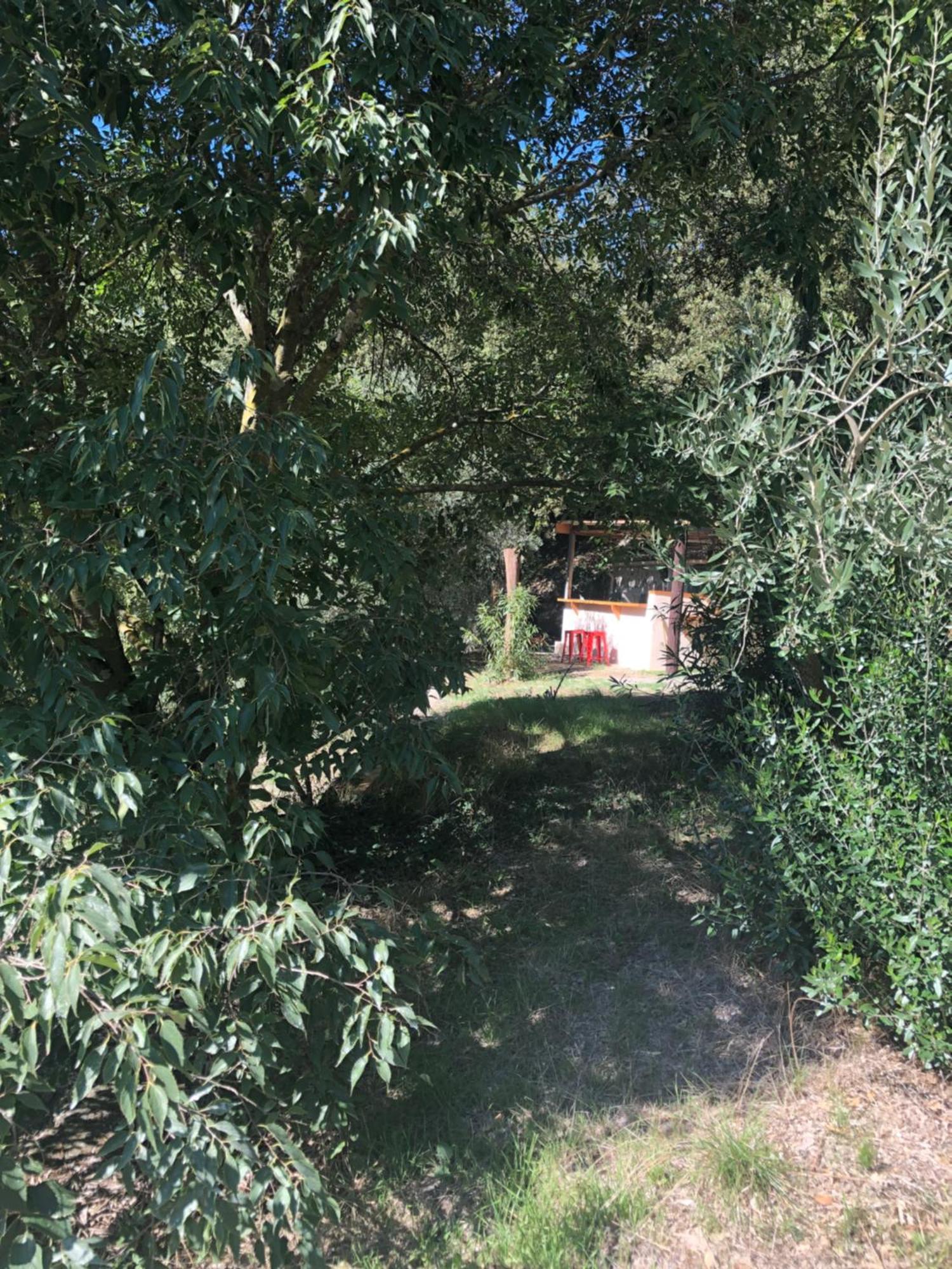 L'Olivier Fleurie Barjols Villa Exterior foto