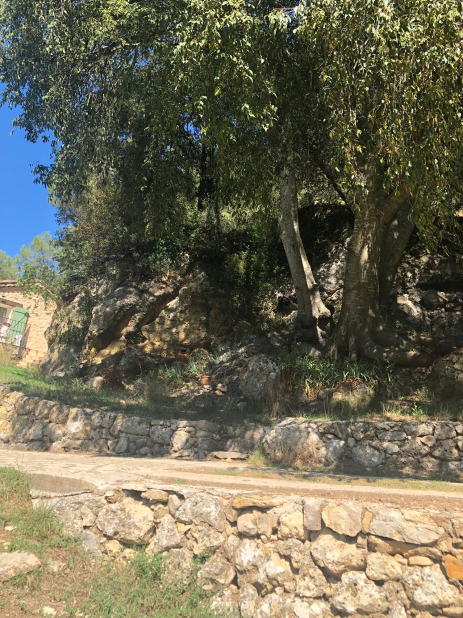 L'Olivier Fleurie Barjols Villa Exterior foto